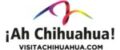 logo ahh chihuahua